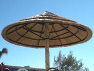 Underside of a Single Pole Reed Palapa